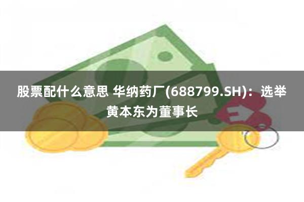 股票配什么意思 华纳药厂(688799.SH)：选举黄本东为董事长