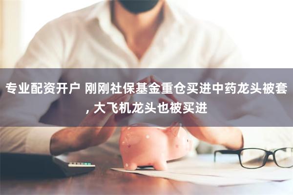 专业配资开户 刚刚社保基金重仓买进中药龙头被套, 大飞机龙头也被买进