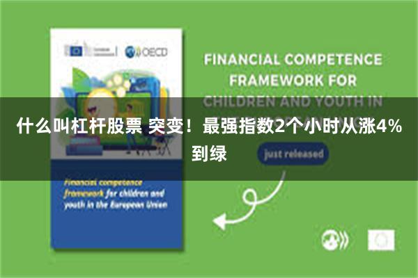 什么叫杠杆股票 突变！最强指数2个小时从涨4%到绿