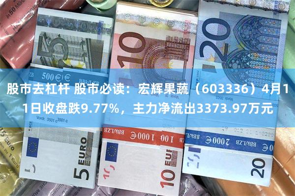 股市去杠杆 股市必读：宏辉果蔬（603336）4月11日收盘跌9.77%，主力净流出3373.97万元
