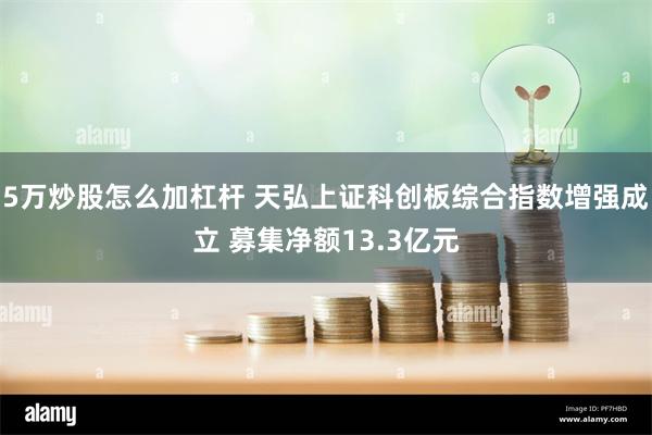 5万炒股怎么加杠杆 天弘上证科创板综合指数增强成立 募集净额13.3亿元
