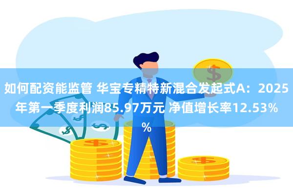 如何配资能监管 华宝专精特新混合发起式A：2025年第一季度利润85.97万元 净值增长率12.53%