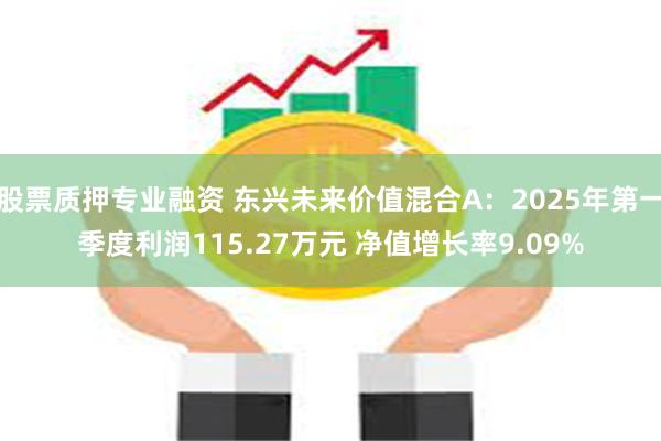 股票质押专业融资 东兴未来价值混合A：2025年第一季度利润115.27万元 净值增长率9.09%