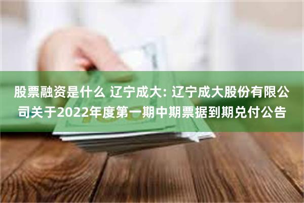 股票融资是什么 辽宁成大: 辽宁成大股份有限公司关于2022年度第一期中期票据到期兑付公告
