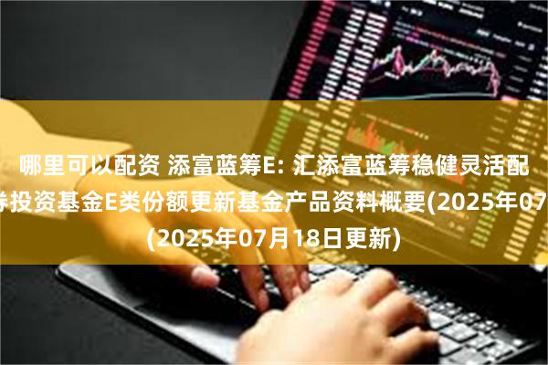哪里可以配资 添富蓝筹E: 汇添富蓝筹稳健灵活配置混合型证券投资基金E类份额更新基金产品资料概要(2025年07月18日更新)