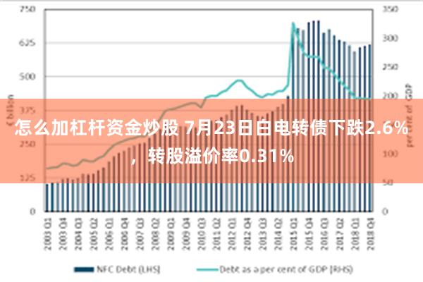 怎么加杠杆资金炒股 7月23日白电转债下跌2.6%，转股溢价率0.31%