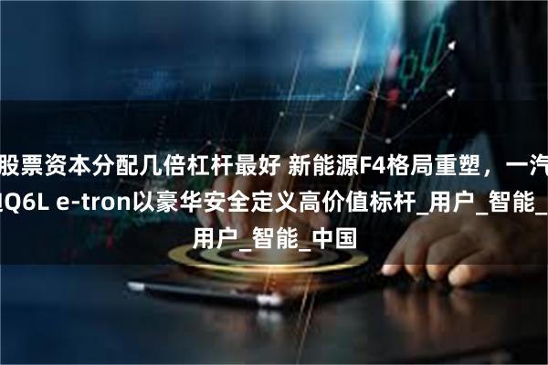 股票资本分配几倍杠杆最好 新能源F4格局重塑，一汽奥迪Q6L e-tron以豪华安全定义高价值标杆_用户_智能_中国